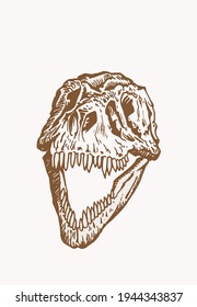Graphical vintage skull of tyrannosaurus ,sepia background,vector element,anthropology fossil