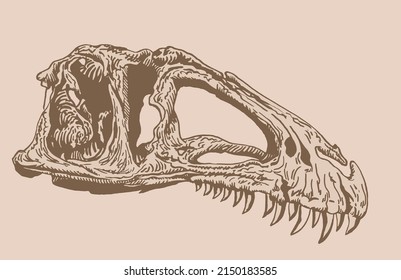 Graphical vintage skull of tyrannosaurus, sepia  background,vector fossil element of museum