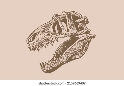 Graphical vintage skull of tyrannosaurus , sepia background,vector element, paleontology