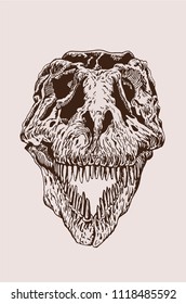 Graphical vintage skull of tyrannosaurus , vector retro illustration