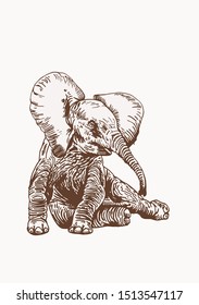 Graphical vintage small elephant sitting , sepia illustration