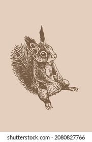 ardilla vintage gráfica , fondo sepia. Ilustración del vector
