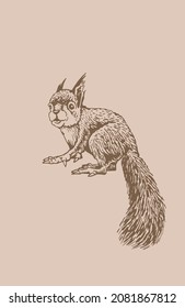 Graphical vintage squirrel , sepia background. Vector illustration