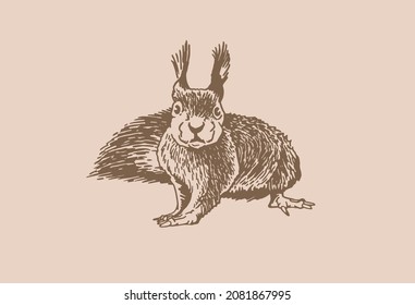 Graphical vintage squirrel , sepia background. Vector illustration