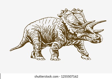 Graphical vintage triceratops,retro illustration,vector,eps10