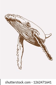 Graphical vintage whale swimming,retro sketch