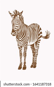 Graphical vintage zebra ,sepia  background, vector  illustration