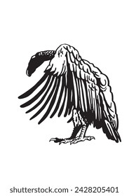 Graphical vulture standing, vector illustration