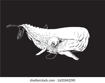 Graphical whale isolated on black background,vector engraved illustration