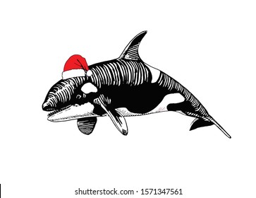 Graphical whale in Santa Claus hat isolated on white background,vector new year illustration