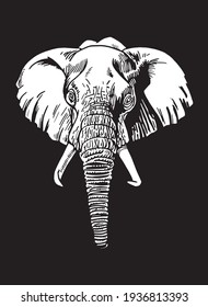 Graphical white portrait of elephant on black background,vector  engraved illustration