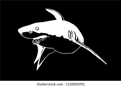 Graphical white shark isolated on black background,vector sketch,megalodon,tattoo illustration