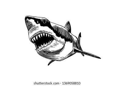 Graphical white shark isolated on white background,vector ink pen illustration,tattoo