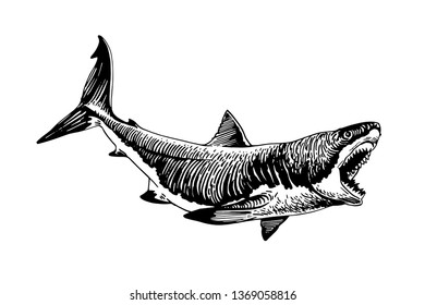 Graphical white shark isolated on white background,vector ink pen illustration,tattoo