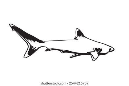 Graphical white shark isolated on white background,vector ink pen illustration,tattoo	