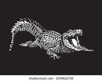 Graphical  white silhouette of crocodile on black background,3D illustration