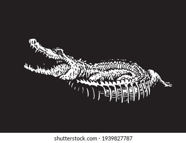 Graphical  white silhouette of crocodile on black background,3D illustration