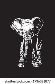 Graphical white silhouette of elephant on black background,vector  engraved illustration