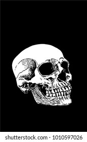 Graphical white skull on black background,vector sketch for tattoo and printing
