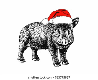 Graphical wild boar in Santa Claus hat,vector illustration