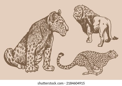 Graphical wild cats, lion,lioness and puma running on sepia background,vector vintage set of African wild animals