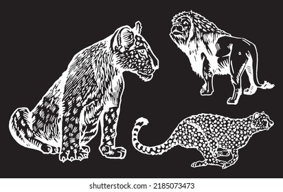 Graphical Wild Cats, Lion,lioness And Puma Running Isolated On Black,vector Set Of African Wild Animals