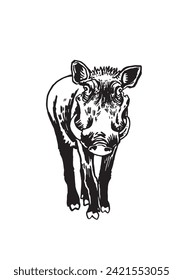 Graphical wild hog isolated on white background, vector ink illustration