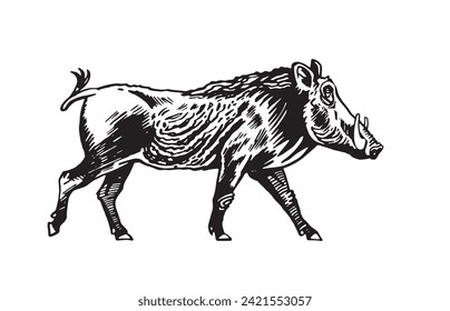 Graphical wild hog isolated on white background, vector ink illustration