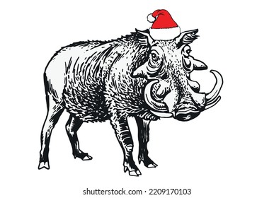 Graphical  wild hog standing in Santa Claus red hat isolated on white background,vector Christmas element