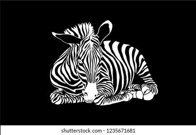 Graphical zebra isolated on black background, vector sketchy illustration, fashion design 