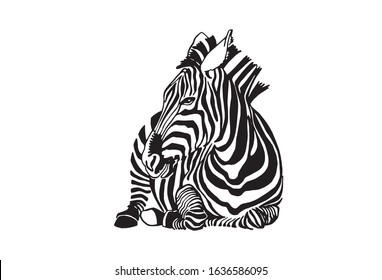Graphical  zebra isolated on white background,vector illustration