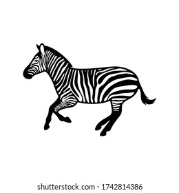 Cebra gráfica aislada en fondo blanco, ilustración vectorial, plantilla