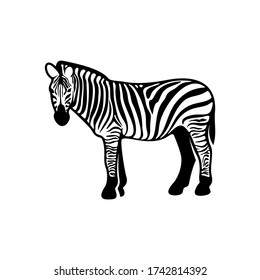 Grafischer Zebra isoliert auf weißem Hintergrund, Vektor-Abbildung, Vorlage