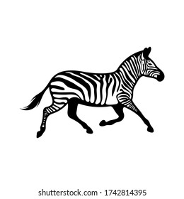 Graphical zebra isolated on white background, Vector illustration, Template