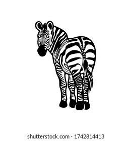 Graphical zebra isolated on white background, Vector illustration, Template