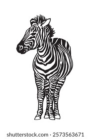 Cebra gráfica en blanco, ilustración 