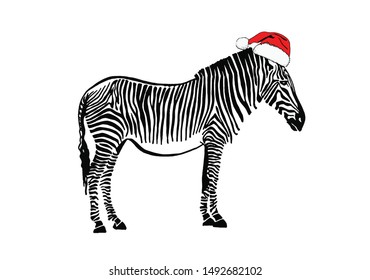 Graphical zebra in Santa Claus hat isolated on white background,vector  new year illustration