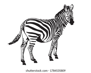 1,850 Graphic zebra standing Images, Stock Photos & Vectors | Shutterstock