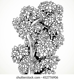 Graphically drawing black ink tree with graceful curved bushy branches isolated on white background