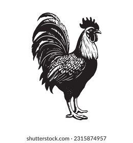 Graphically drawn rooster. Vector vintage illustration.