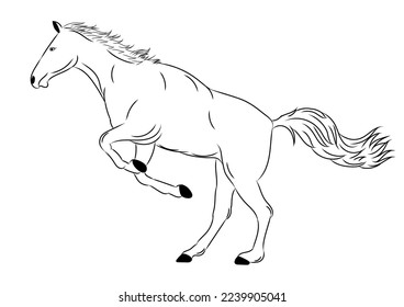 Graphics design drawing outline stroke horse action running and jumping and white background vector illustration