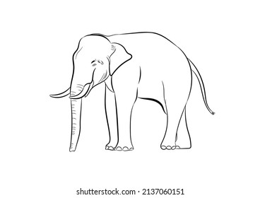 graphics drawing elephant Asia outline transparent black and white transparent isolated white background vector illustration