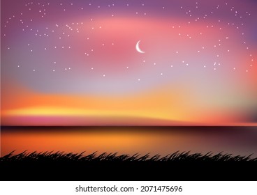 graphics drawing landscape view outdoor nature moon sky and star with the reservoir and twilight silhouette with grass on the ground for wallpaper background vector illustration 