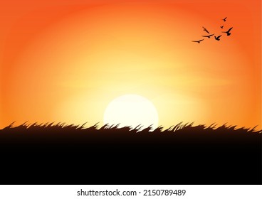 graphics drawing landscape view outdoor of sunset with grass on the ground for wallpaper background vector illustration 