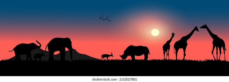 graphics drawing landscape view outdoor animals elephant deer rhino giraffe with sunset on the ground for wallpaper background vector illustration