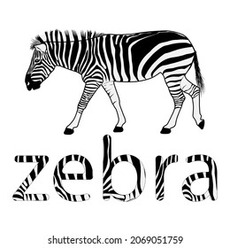 imagen gráfica animal cebra con ilustración vectorial de cebra de texto fondo blanco aislado 