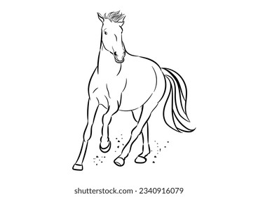 graphics image drawing horse running, outline stroke line Vector illustration