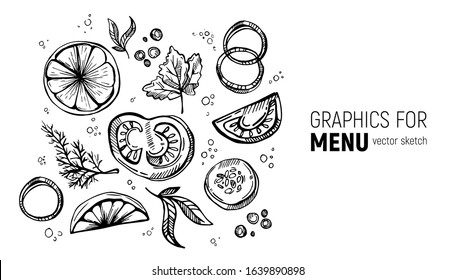 Graphics for the menu. Spices and vegetables. Hand drawing sketches