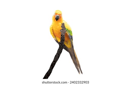 Graphics Polygon Image Parrot sitting on a branch isolated white background  vector illustration