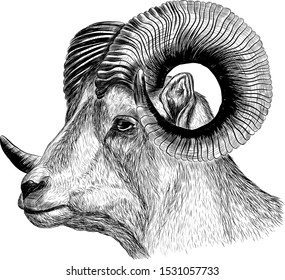 graphics RAM with horns black and white